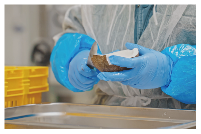 ケトジェニックプロ